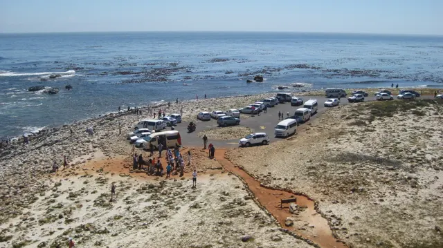 Cars and visitors gather in a parking area beside a rocky coast.