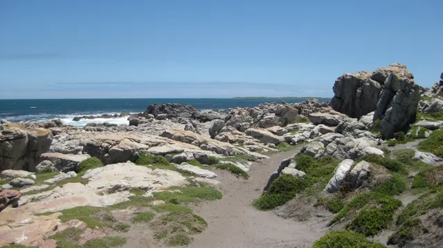 A narrow path passes pale rocks and low green plants.
