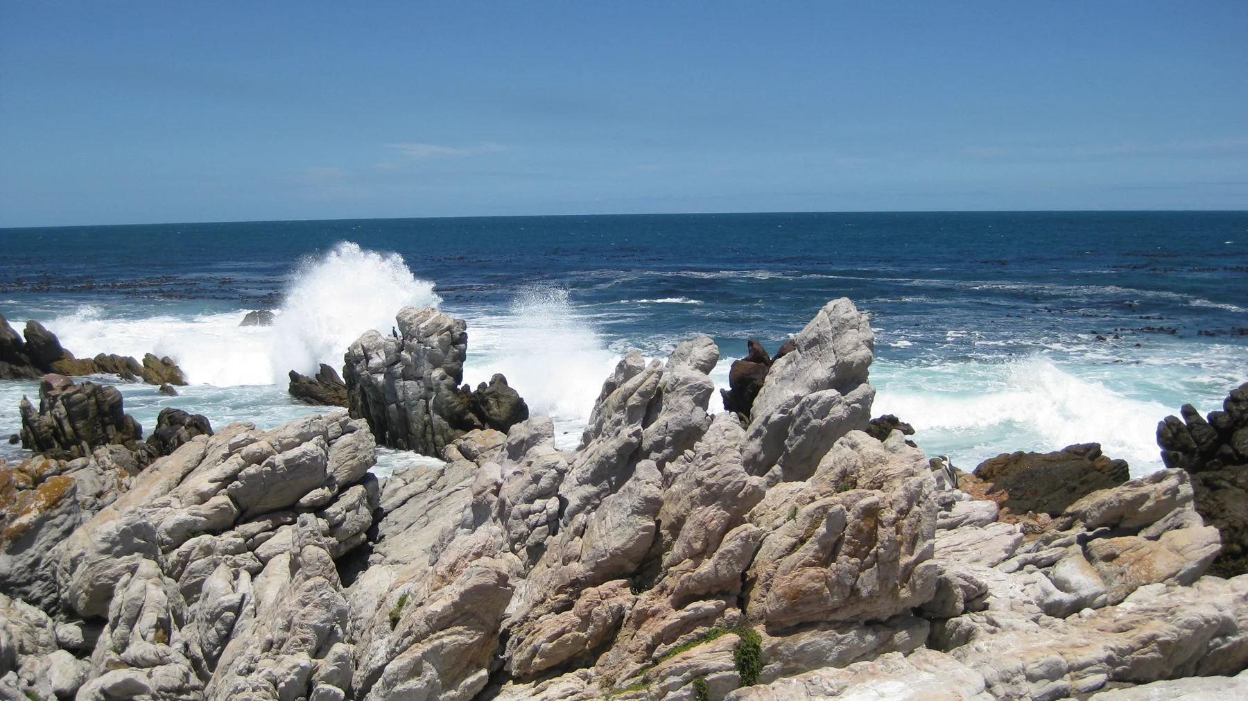 White spray rises above a jagged coastal rock edge.