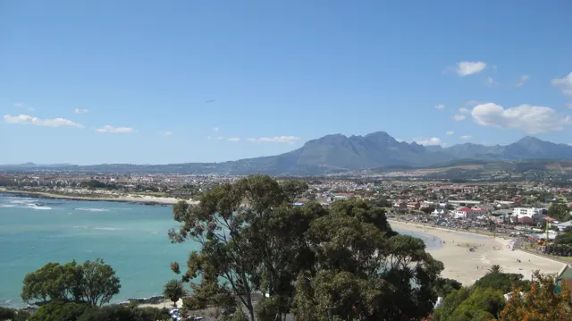 Turquoise water curves around a coastal town behind foreground trees.
