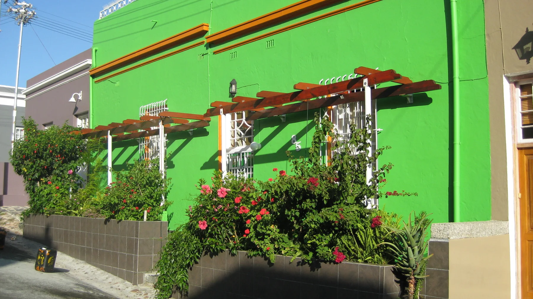A bright green house has a flower-covered pergola above its front wall.