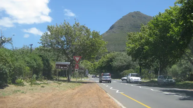 Cars follow a road bordered by trees with a hill rising in the distance.