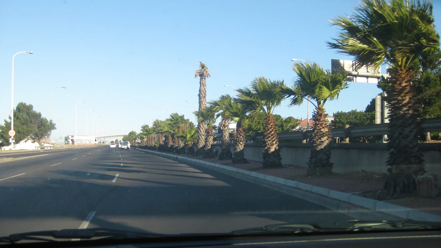 Palms and streetlights follow the road past low buildings.