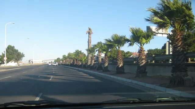 Palms and streetlights follow the road past low buildings.