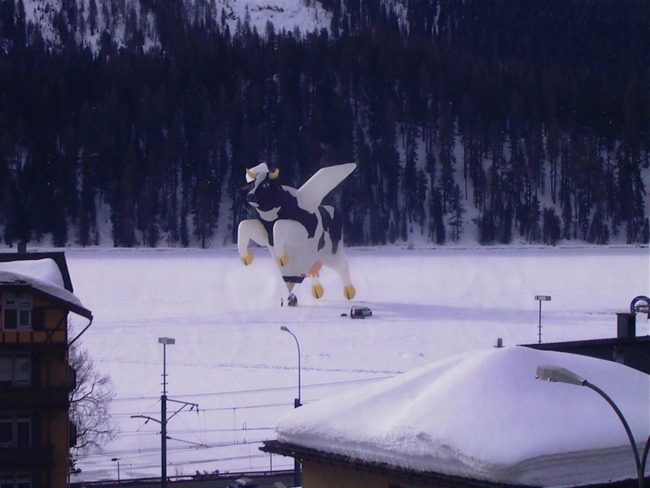 A cow-shaped decoration appears in front of a snow-covered landscape, with dark trees and rooftops beyond.