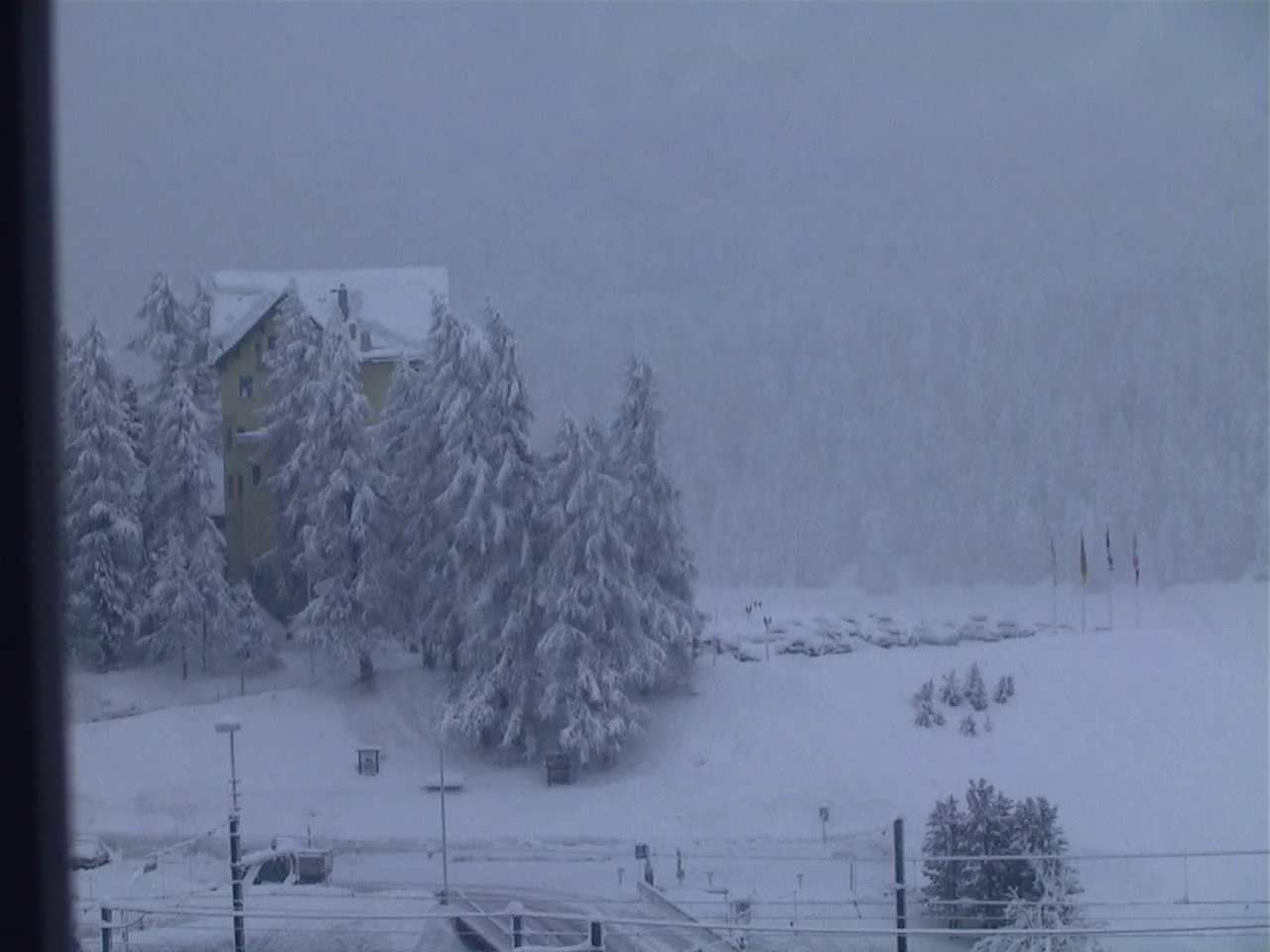 Snow-laden trees partly conceal a building in a pale winter scene viewed past a dark window edge.