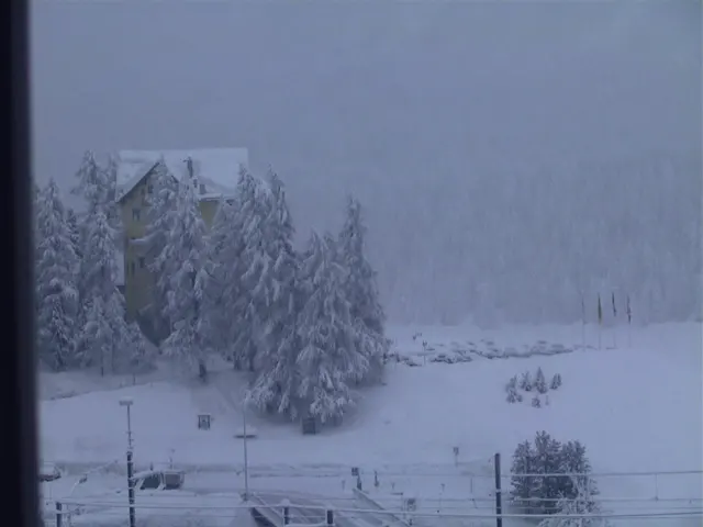 Snow-laden trees partly conceal a building in a pale winter scene viewed past a dark window edge.