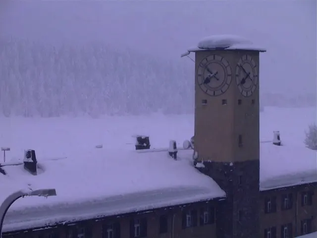 A clock tower and low roof are capped with snow against a pale background of trees and snowfall.