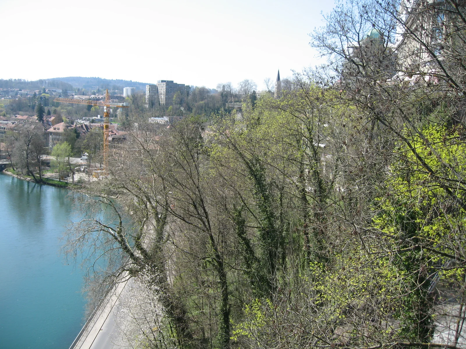 Leafy and bare branches frame an elevated view of blue-green water and a path along the bank.