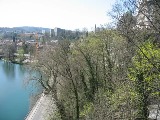 Leafy and bare branches frame an elevated view of blue-green water and a path along the bank.