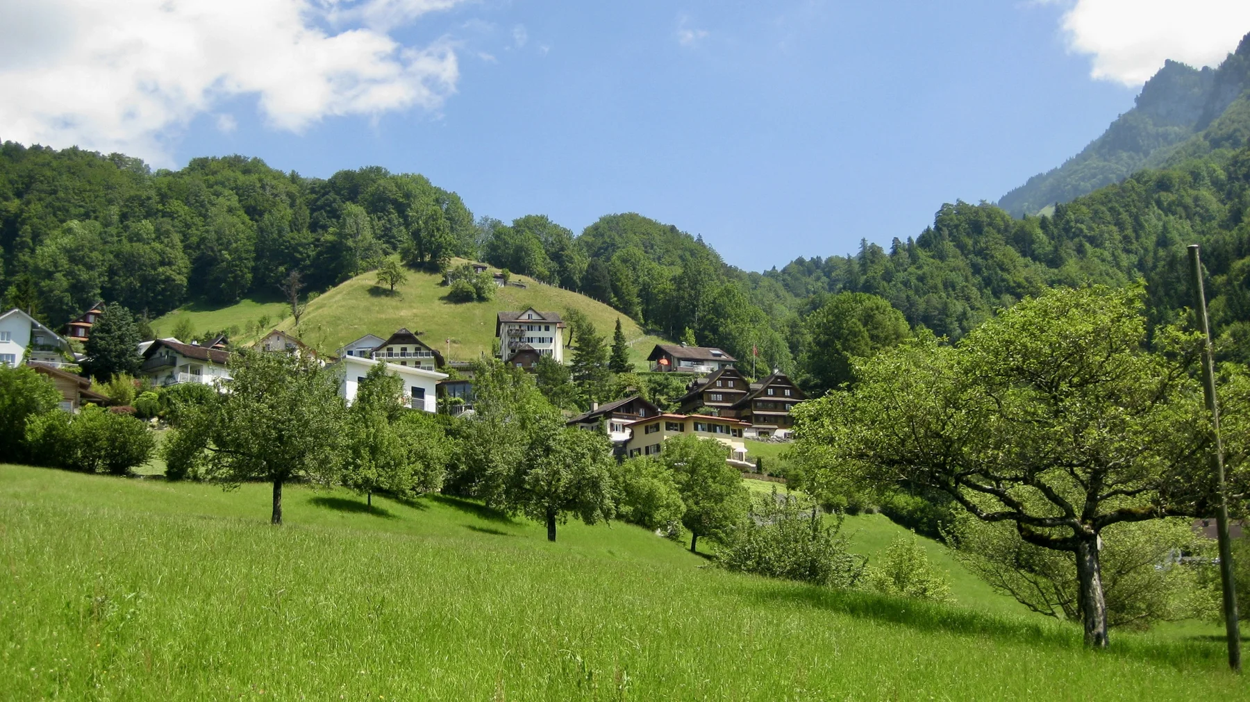Scattered houses stand among green meadows and trees on a wooded hillside.