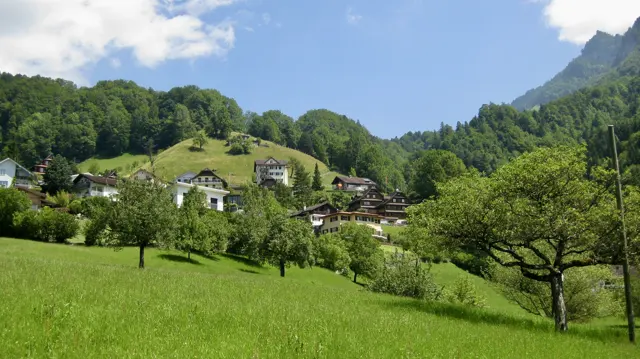 Scattered houses stand among green meadows and trees on a wooded hillside.