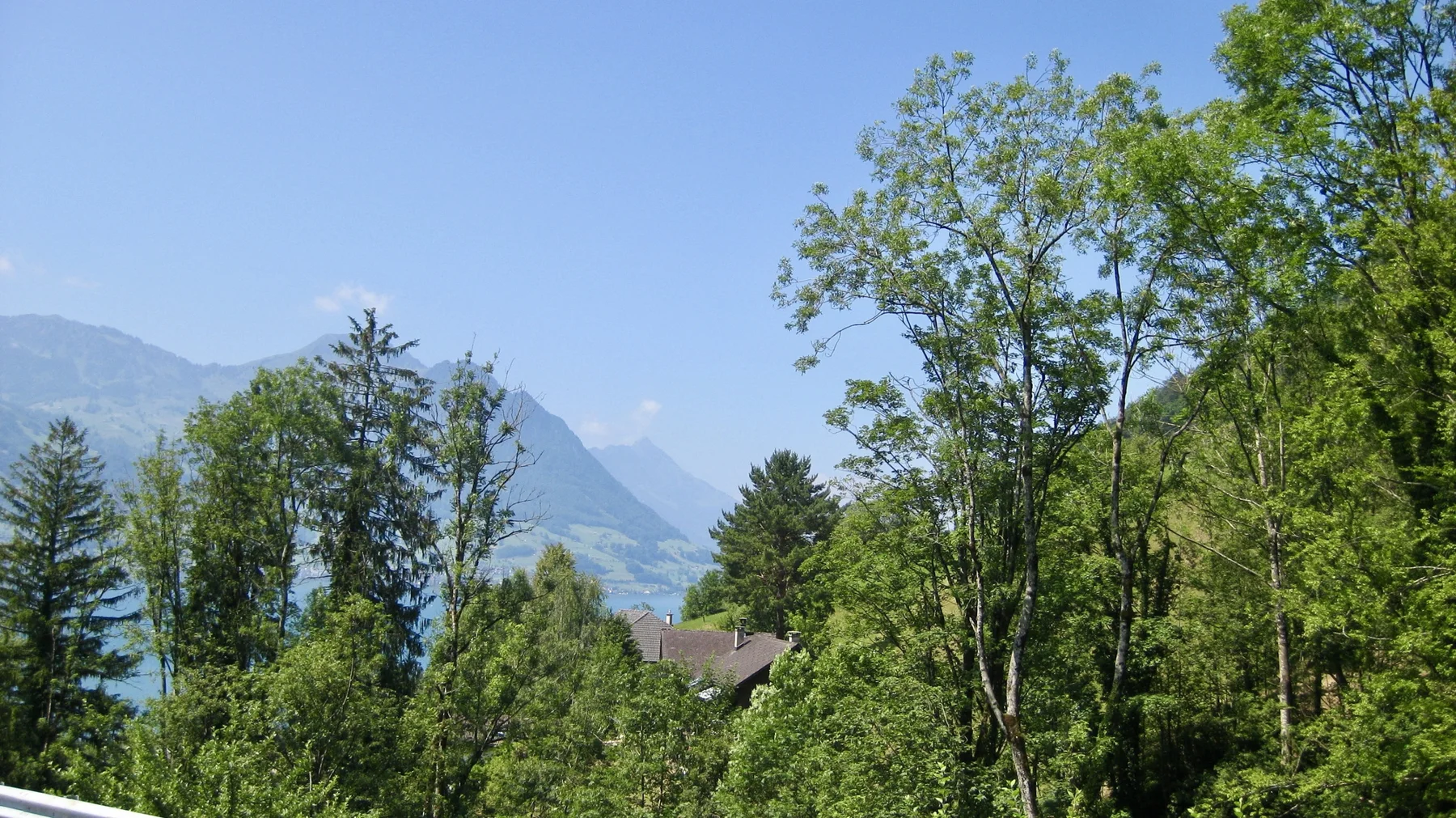 Foreground trees reveal a blue lake and hazy mountains beyond.