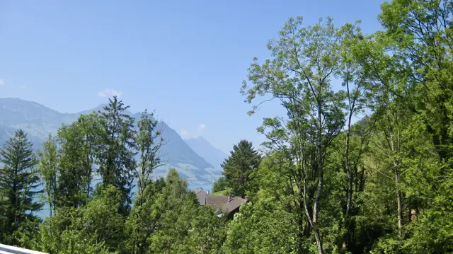 Foreground trees reveal a blue lake and hazy mountains beyond.