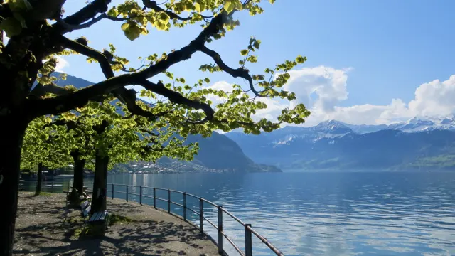 A lakeside tree and walkway overlook still water beneath spreading clouds.
