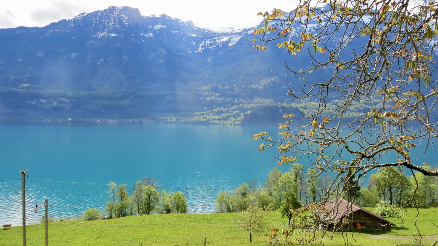 A small wooden shed stands in a green meadow above turquoise water.