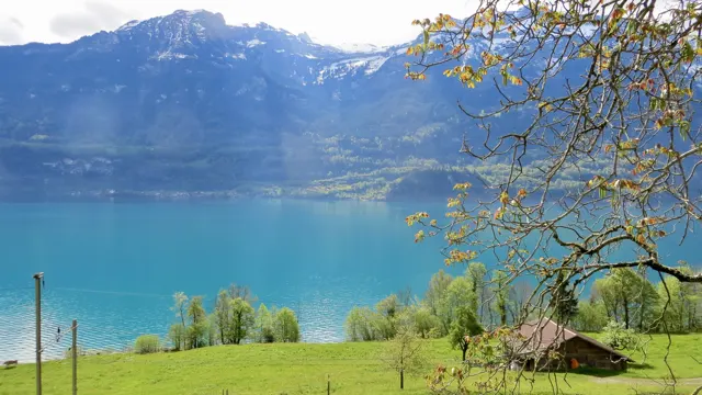 A small wooden shed stands in a green meadow above turquoise water.