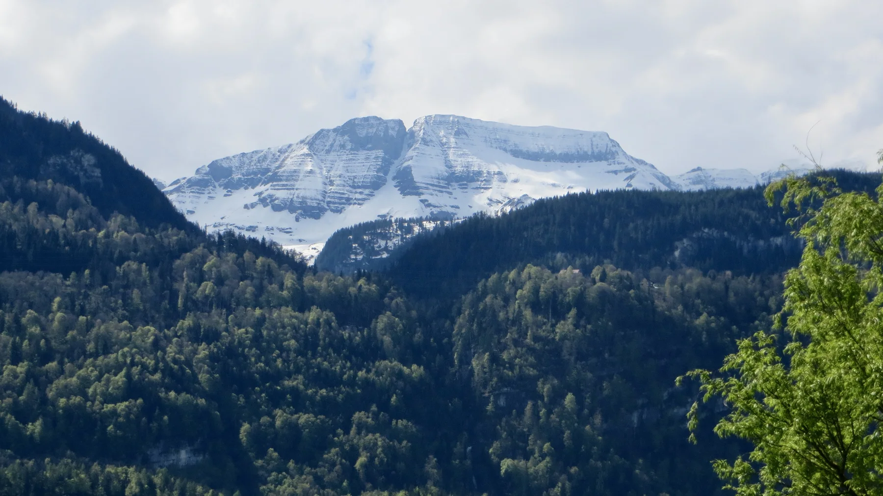 A broad, snow-streaked mountain rises above forested slopes.