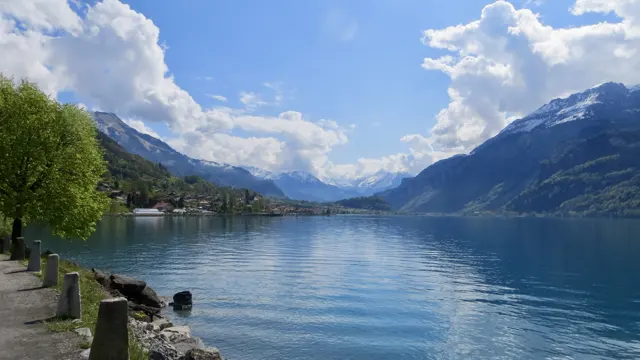 A lakeside path with low stone posts leads past trees toward distant mountains.