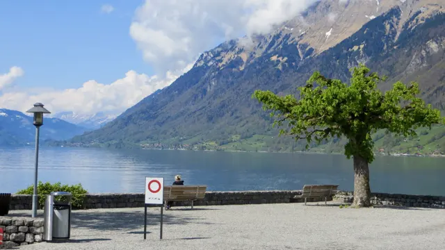 A bench, lamp and tree stand beside a gravel lakeshore overlooking the mountains.