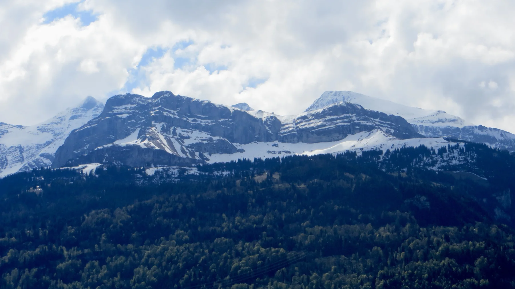 A layered snowy ridge rises above a dark belt of forest beneath cloud.