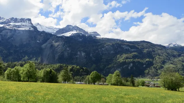 A green meadow and trees lie below steep forested slopes and a snowy ridge.