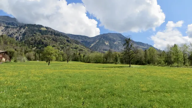 Scattered orchard trees and a small wooden building occupy a meadow below a craggy ridge.