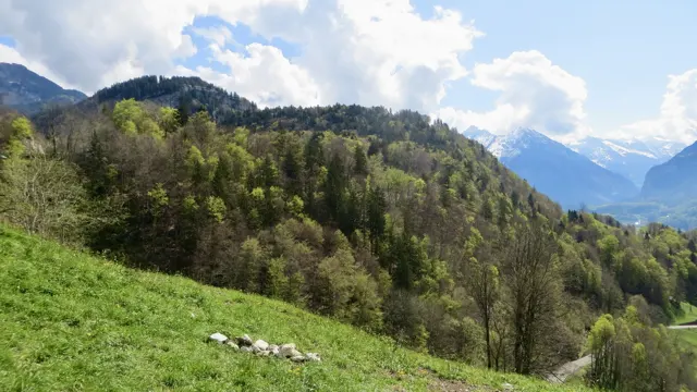 A green meadow slopes toward woodland and a curving path beneath distant peaks.