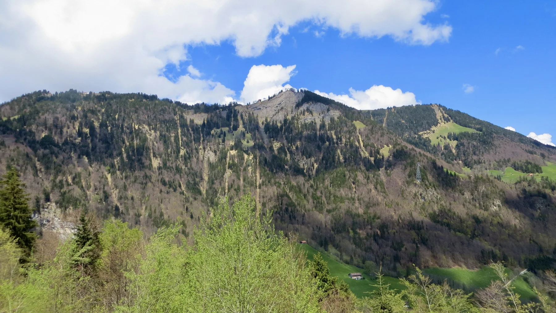 A rocky, wooded ridge rises behind foreground trees beneath white clouds.