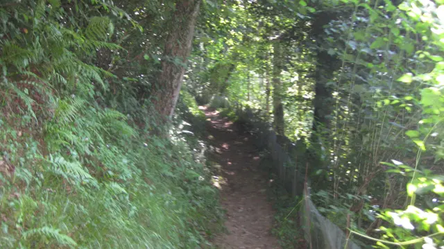 A narrow dirt trail follows a wooded slope through dense green foliage.