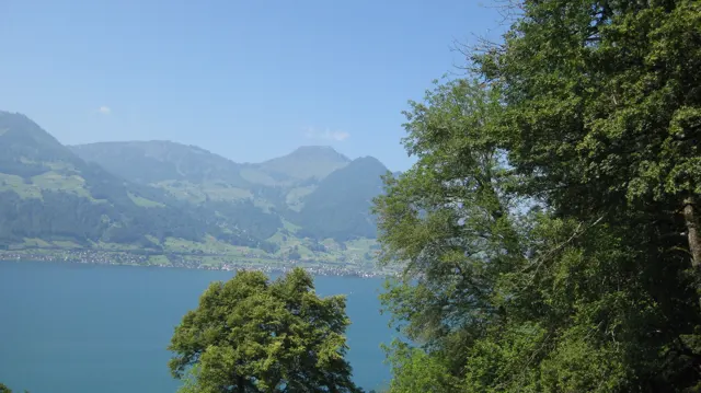 Trees frame a blue lake beneath green mountain slopes and a clear sky.