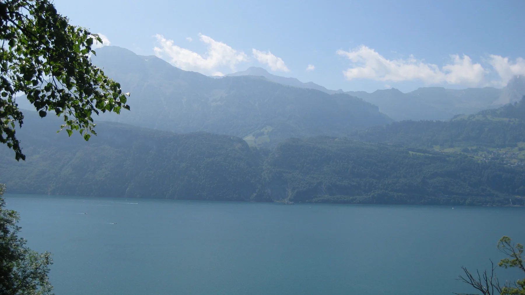 An overhanging branch frames a lake and softly lit mountain slopes.