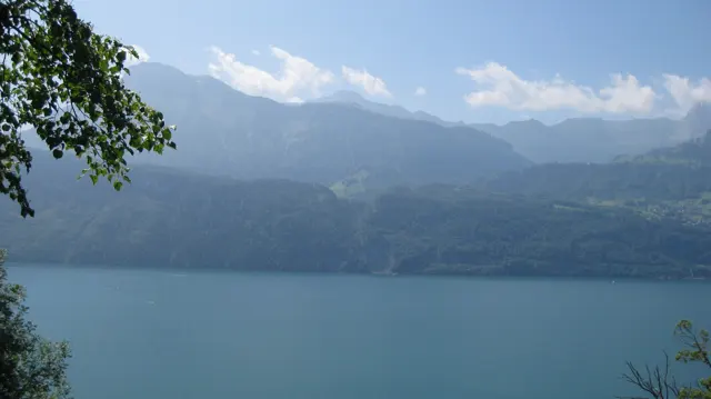 An overhanging branch frames a lake and softly lit mountain slopes.