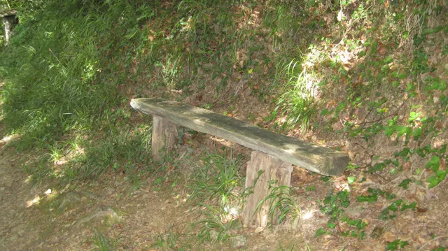 A rough wooden bench rests beside a mossy bank along a woodland path.