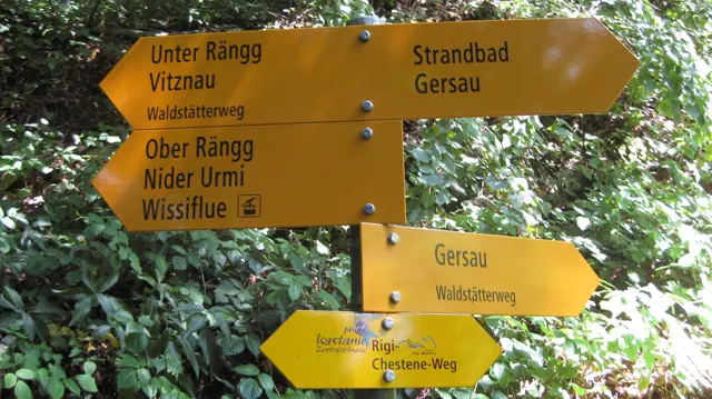 Yellow walking signs point toward Vitznau, Gersau and other destinations among the trees.