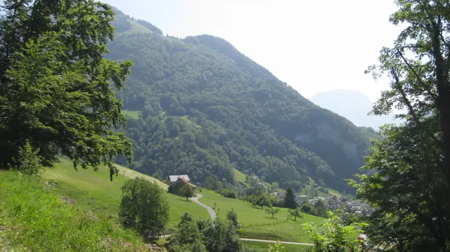 A winding path crosses green fields at the foot of a forested mountain.
