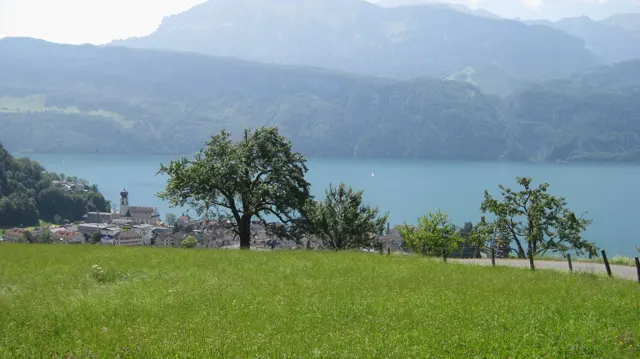 Scattered orchard trees stand in a meadow overlooking the lake.