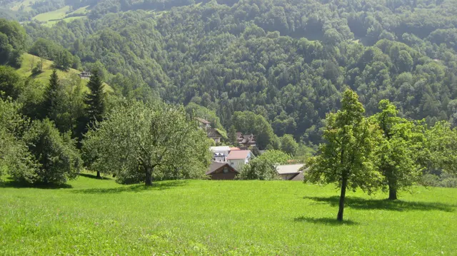 Scattered trees and a few roofs sit below a green meadow and wooded slopes.