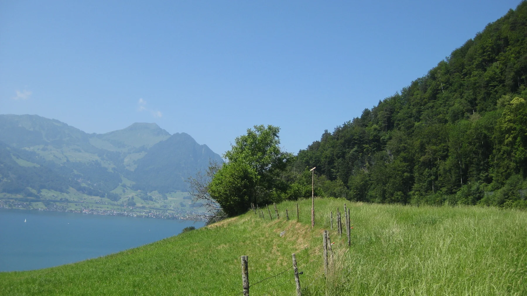 Tall meadow grass follows a fenced slope with a lake and mountains beyond.