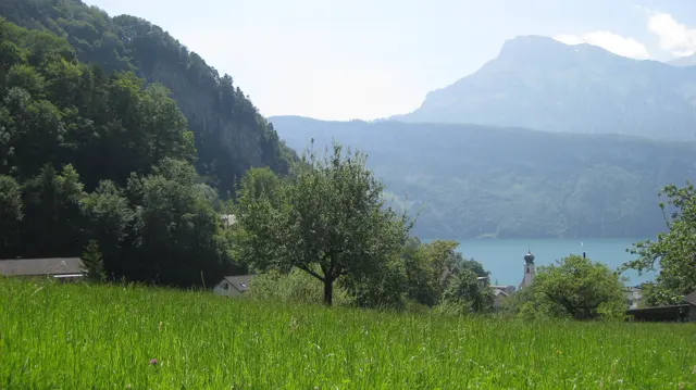 A small tree stands in a green meadow above the lake and distant mountain silhouettes.
