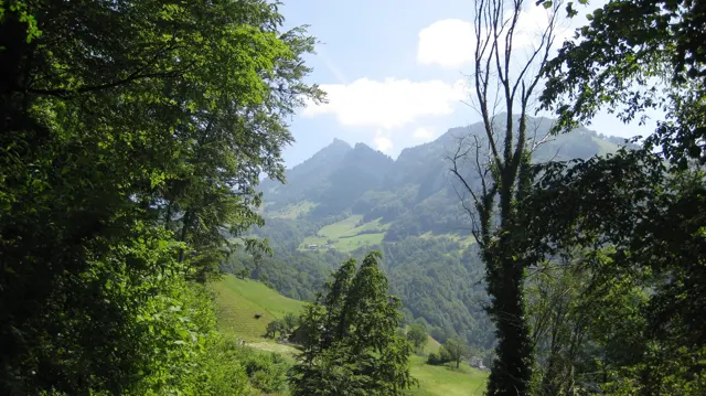 Trees frame a green valley and pointed mountain peaks in the distance.