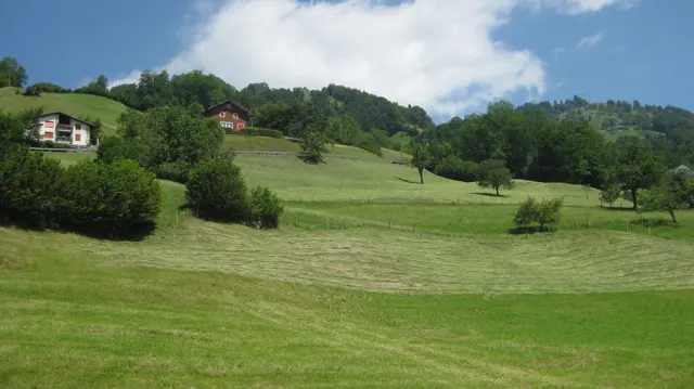Mown and taller grass form bands across a hillside dotted with trees and houses.