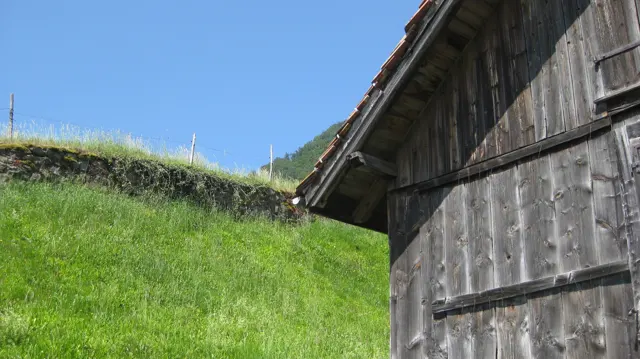 A weathered wooden shed stands beside a steep green meadow under blue sky.