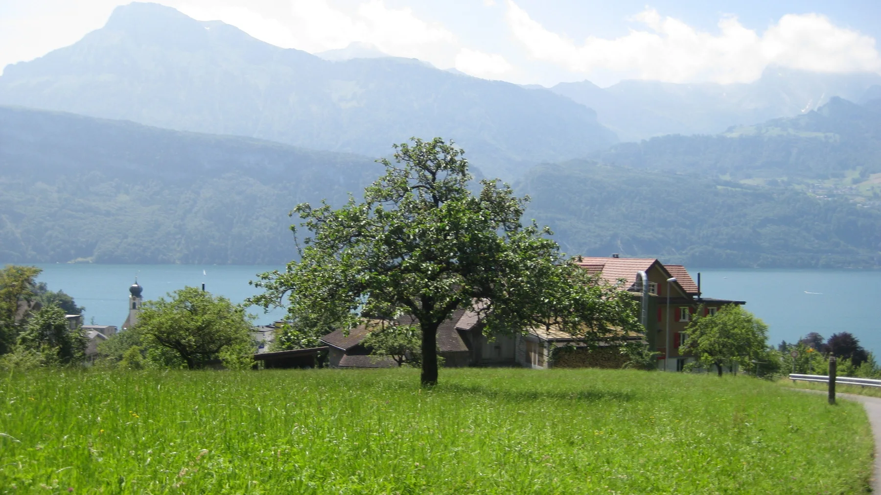 A meadow tree and a red-roofed building overlook the lake and hazy mountains.