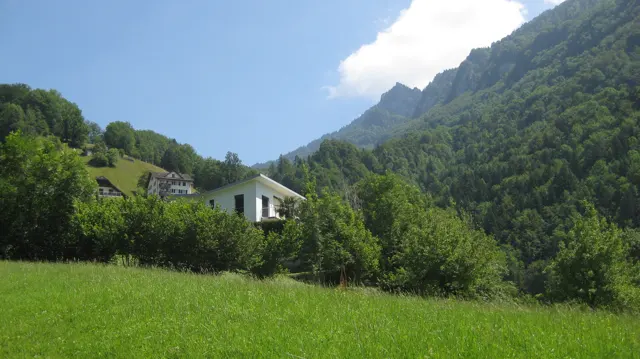 A pale house sits among hedges and green fields beneath a steep wooded slope.