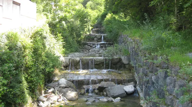 A narrow stream cascades over a series of stone ledges between planted banks.