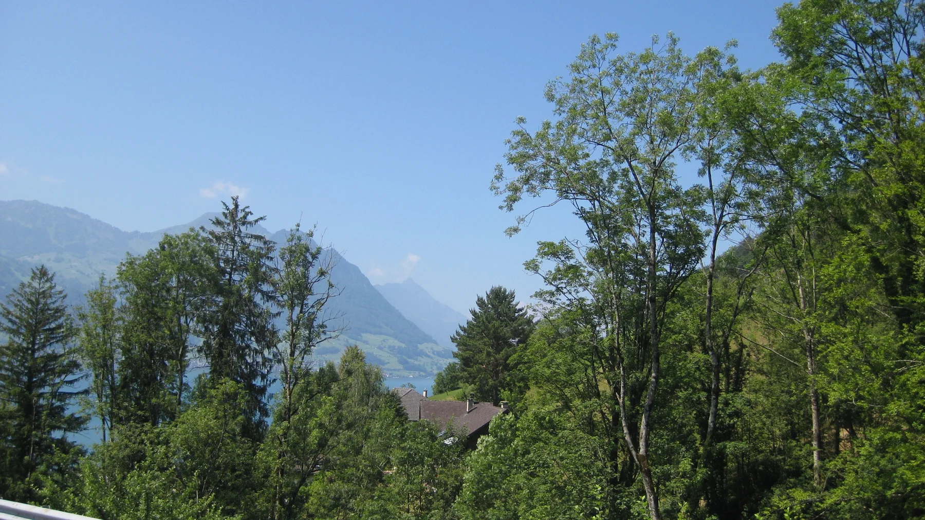 Leafy trees partly conceal blue water and distant mountain slopes.
