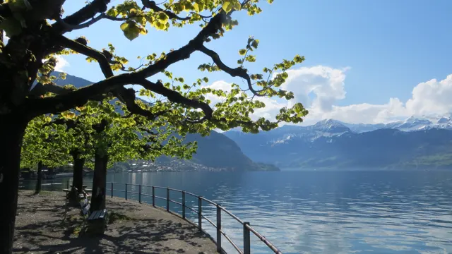 Fresh leaves and dark branches frame a lakeside walkway and distant snowy ridges.