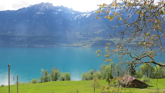 A small wooden shed and spring branches overlook a vivid turquoise lake.