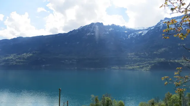 A high mountain shoreline rises above deep blue water, framed by a few branches.